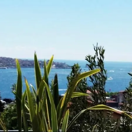 Wilitton Bosphorus House * Istanbul