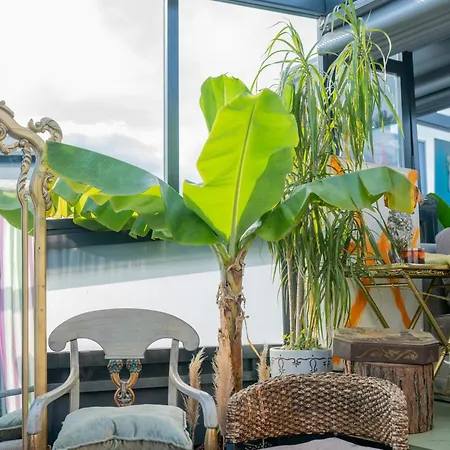 Wilitton Bosphorus House Lägenhet Istanbul